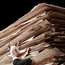 backup and document filing office administration